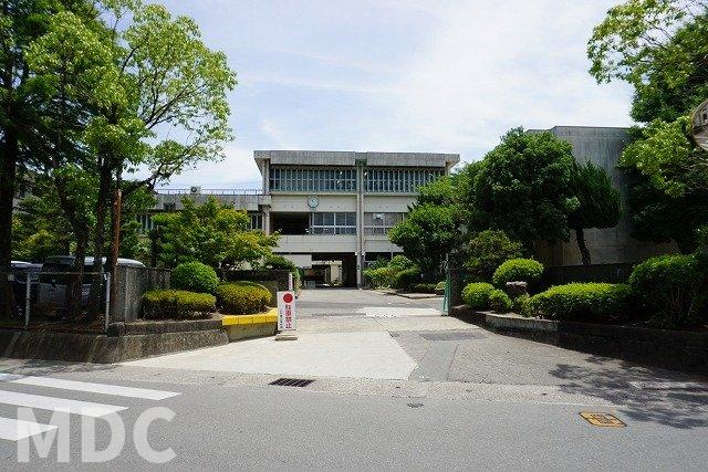 徳島市八万町川南のアパートの周辺|八万南小学校まで1100m