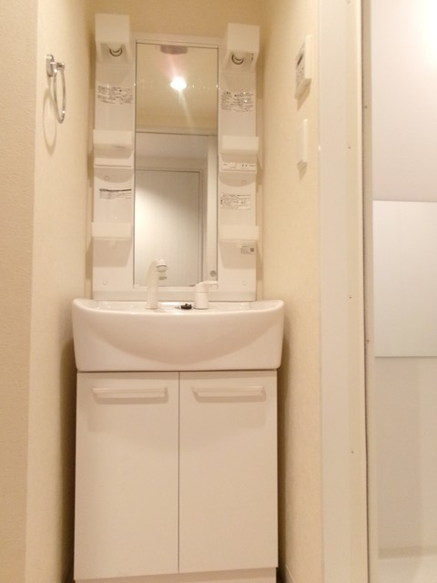トレセリア大和田の洗面所