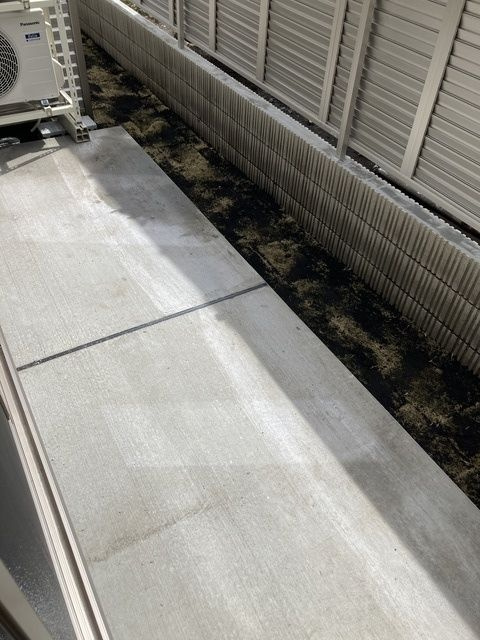 ｄｗｅｌｌ上北沢 Ａ棟の庭