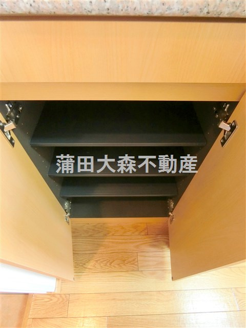 コスモリード大森町の収納|玄関収納　下