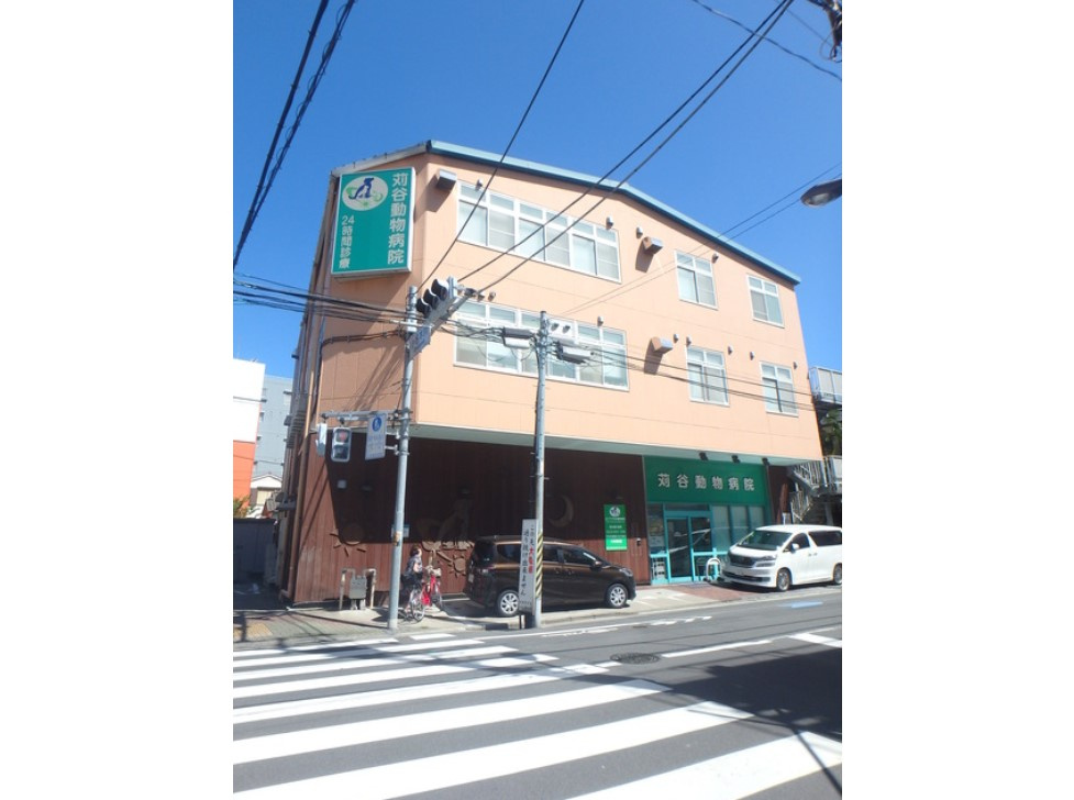 アロハ壱番館の周辺