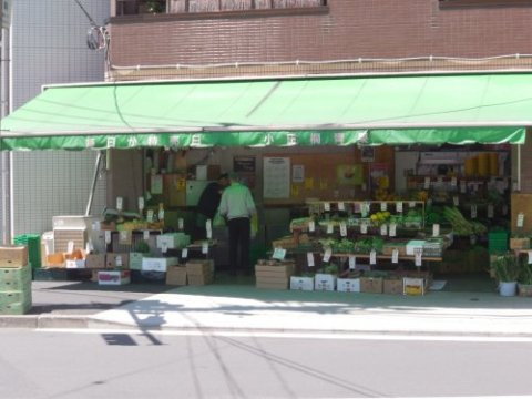 クレアシオン門前仲町の周辺