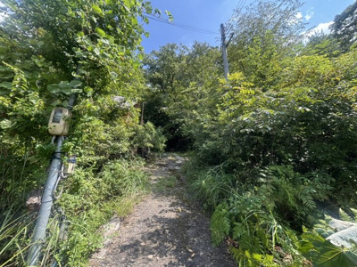 【その他】 | 丹波篠山市今田町辰巳　山林