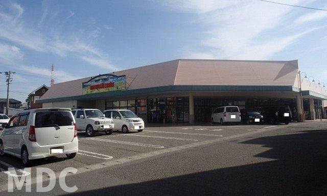 徳島市八万町川南のアパートの周辺|マルヨシセンター八万店様まで850m
