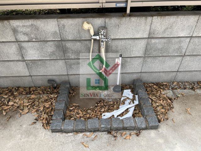 ヴェリタスのその他