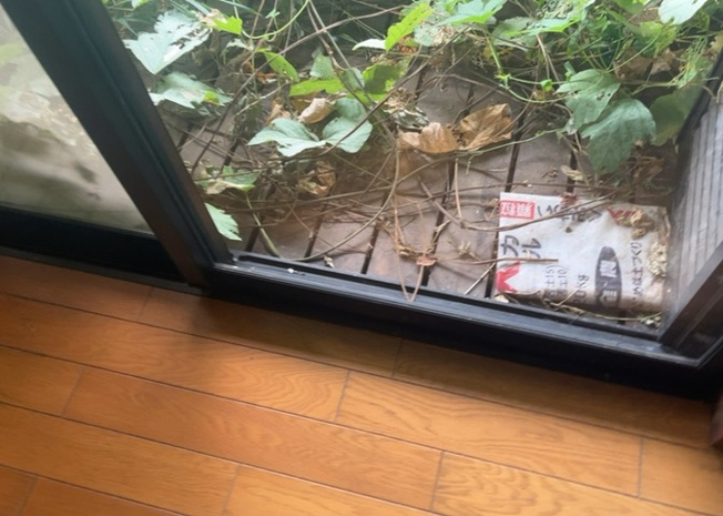 【内装】 | サッシは、ガラス窓に使用される金属製の窓枠です。一般的に住宅建築では、金属製建具工事の段階でガラス類・玄関などと同時に設置されます。種類や構造により断熱性能や遮音性能が異なるので現地でご確認ください。