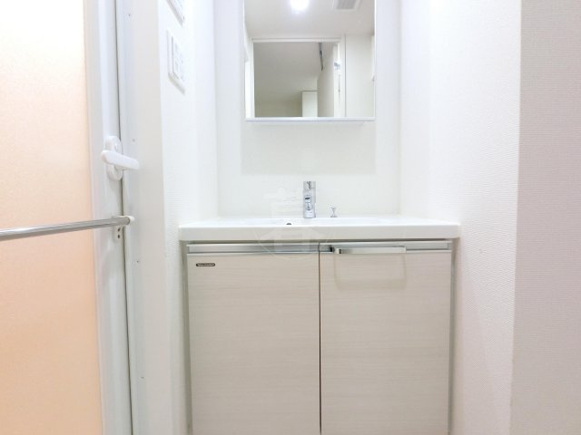 ブライズ多摩川の洗面所