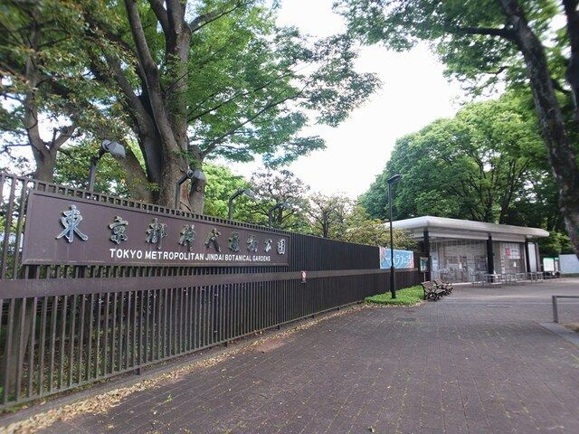 ベル・ウッド深大寺のその他