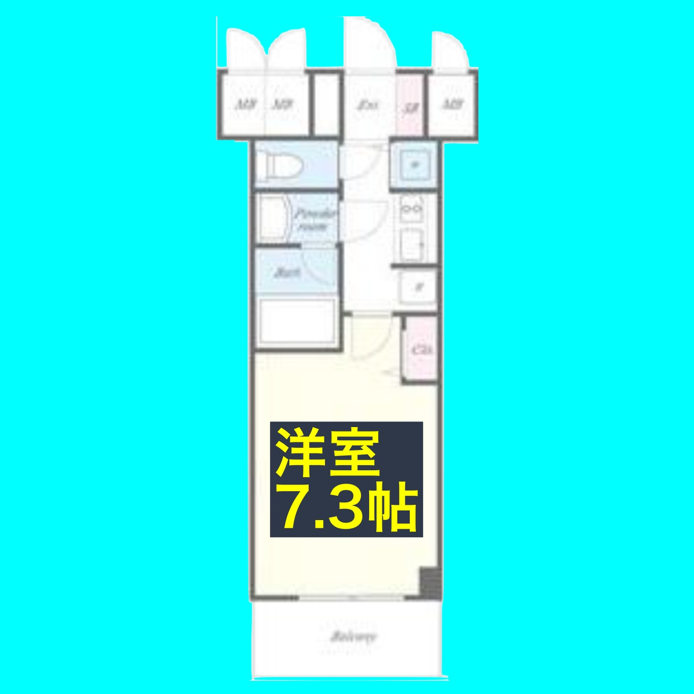 セイワパレス丸の内駅前プレミアの間取り
