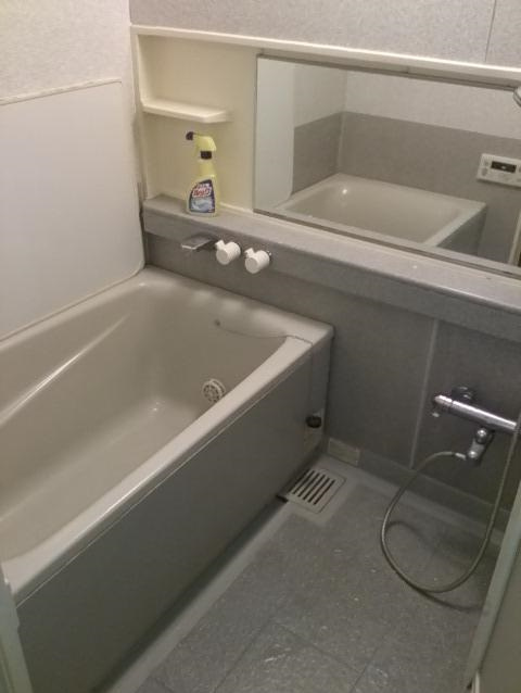 アヴァンティーク銀座2丁目の浴室