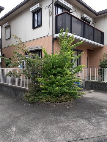 川崎市多摩区枡形５丁目のテラスの外観