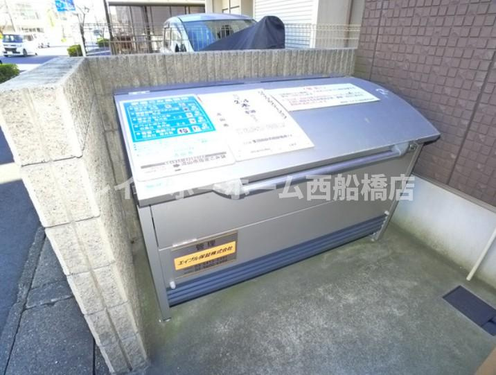 オレンジベリーのその他