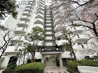 鉄骨鉄筋コンクリート造14階建て