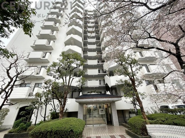 鉄骨鉄筋コンクリート造14階建て