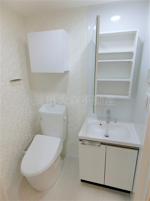 COCOCUBE大森本町の洗面所
