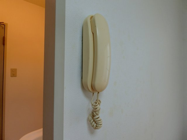 サンフレグランスA棟のセキュリティ|イメージ203号室の写真