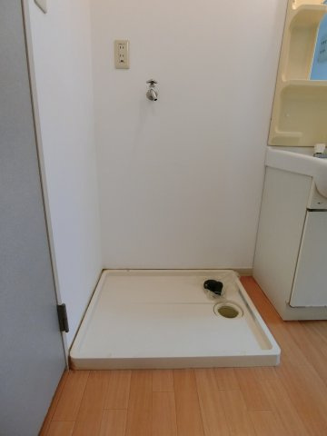 サンフレグランスA棟の洗面所|イメージ203号室の写真