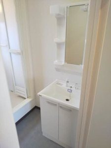 ザックス英賀保　C棟の洗面所
