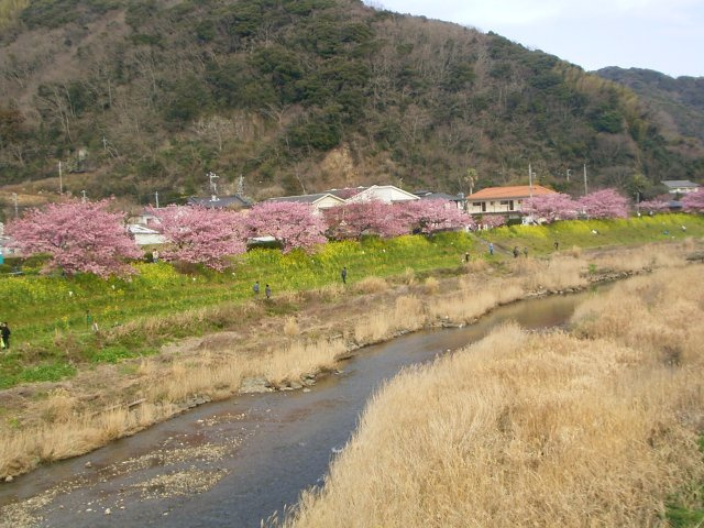 南伊豆町　下小野の周辺