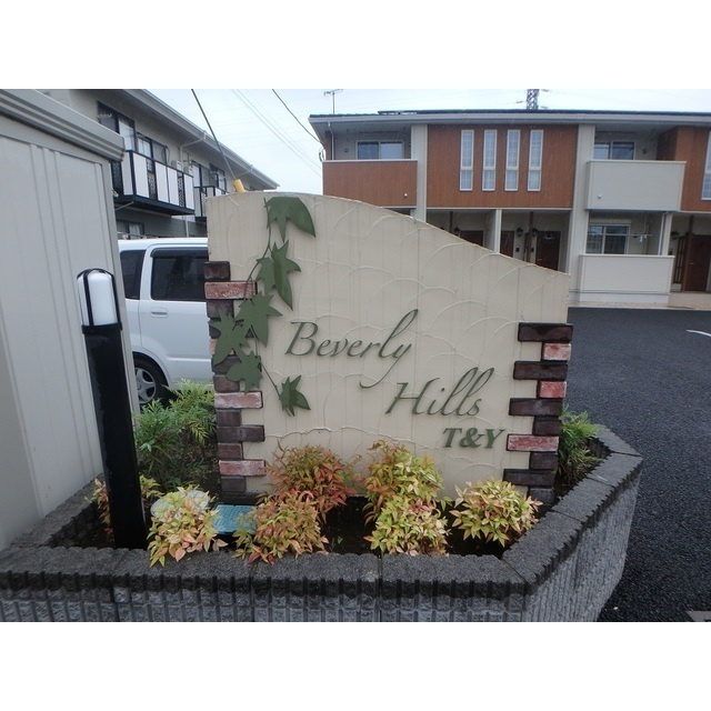 ビバリーヒルズT&Yのその他