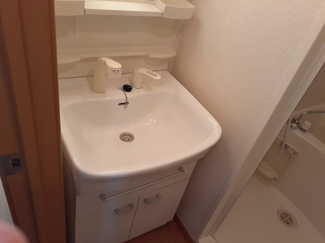 プリムヴェール国立の洗面所
