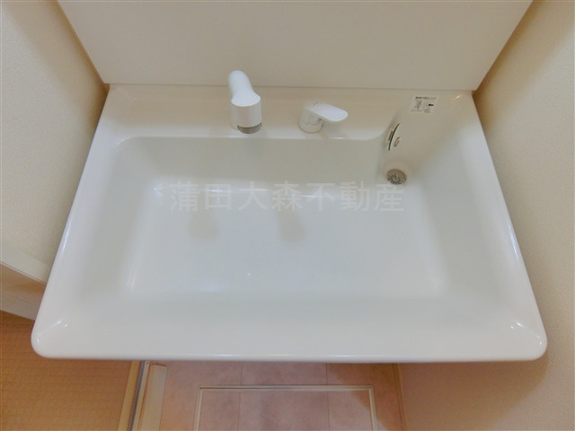 リエゾン池上の洗面所