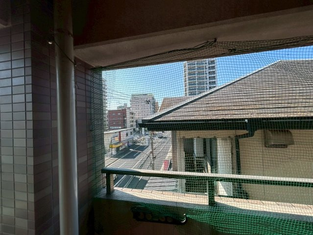 グリシーヌ静徳の展望