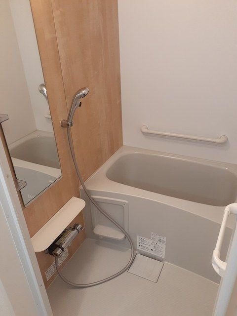 インテルノ芦花の浴室