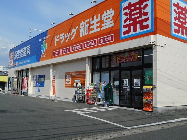 エクセルコートＭ．Ｏの周辺|ドラッグ新生堂尾ノ上店まで300m