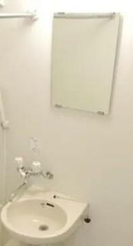 セジョリ上板橋の洗面所