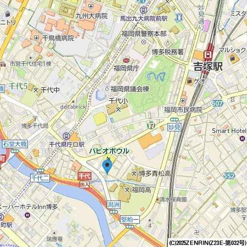 リアン・シエルブルー東公園の地図|地図