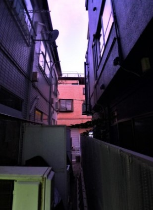 グレイスハイム久米川の展望