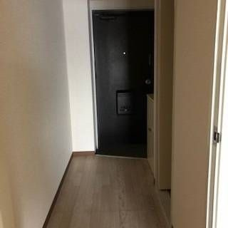 座間市小松原１丁目の賃貸マンションの玄関