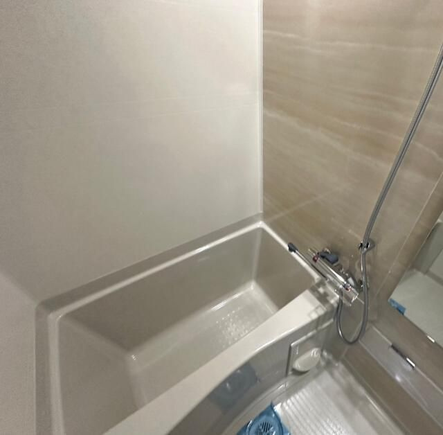 ＣＲＥＡＬｐｒｅｍｉｅｒ八丁堀の浴室