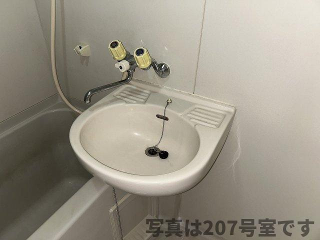 エクセラージュの洗面所