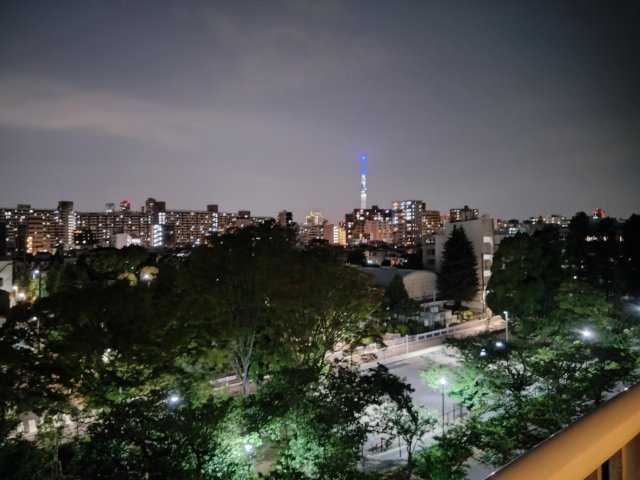 ハイラーク大島の展望