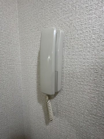 ラッスル大社のセキュリティ