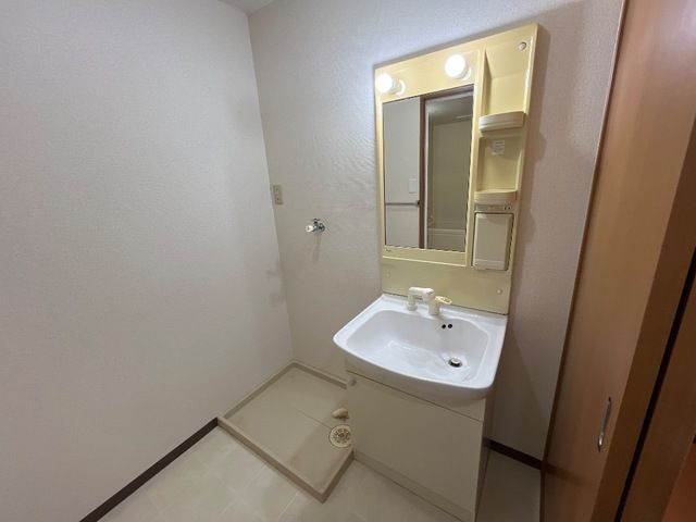パストラル南町の洗面所