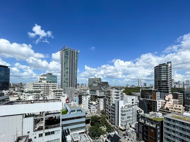 パーク・アヴェニュー神南の展望
