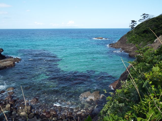 下田市　伊豆白浜南風台別荘地の周辺