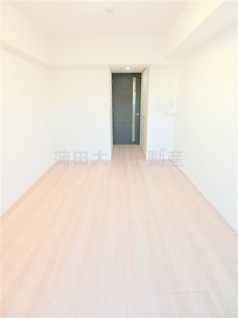 ディアレイシャス新蒲田のその他|洋室