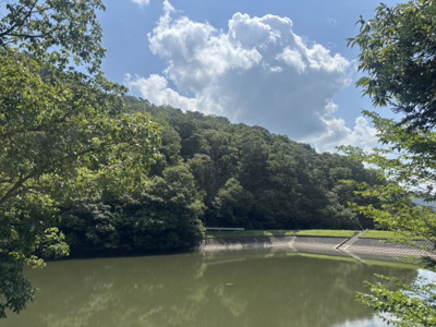 【外観】 | 丹波篠山市今田町辰巳　山林1