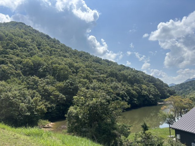 【外観】 | 丹波篠山市今田町辰巳　山林1