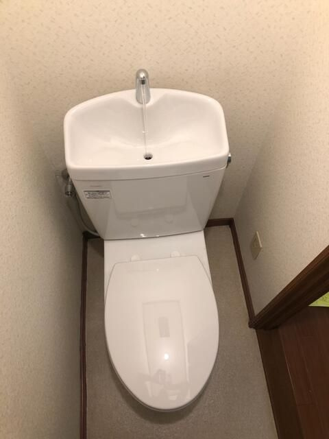 ヒルズイシダⅡのトイレ