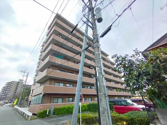 【】の画像