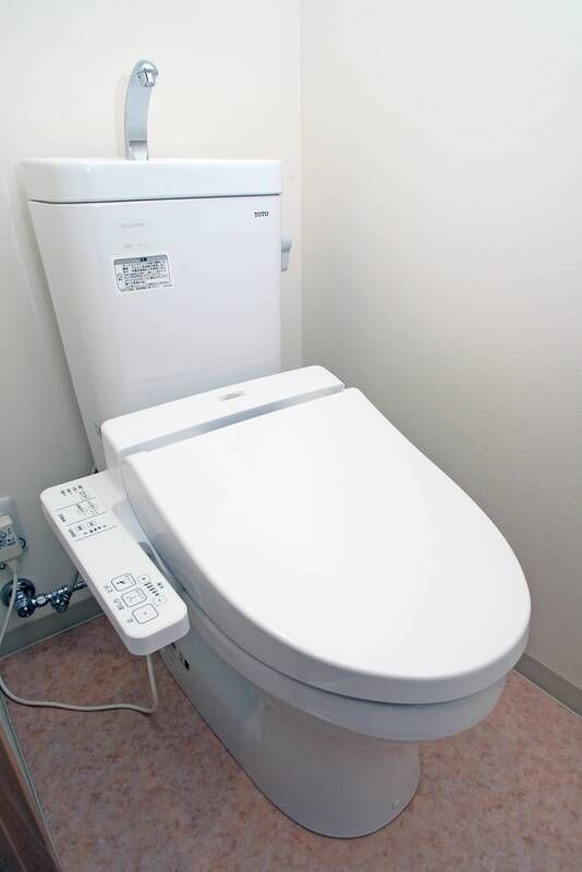 レオ四拾五番館のトイレ