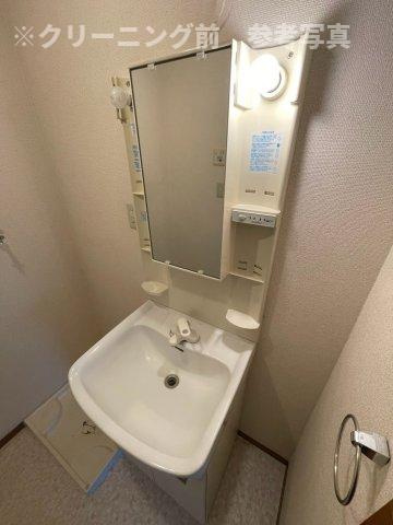 ロイヤルガーデン北屋敷Ⅱの洗面所