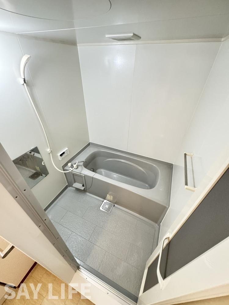 ヴィラージュD棟の浴室