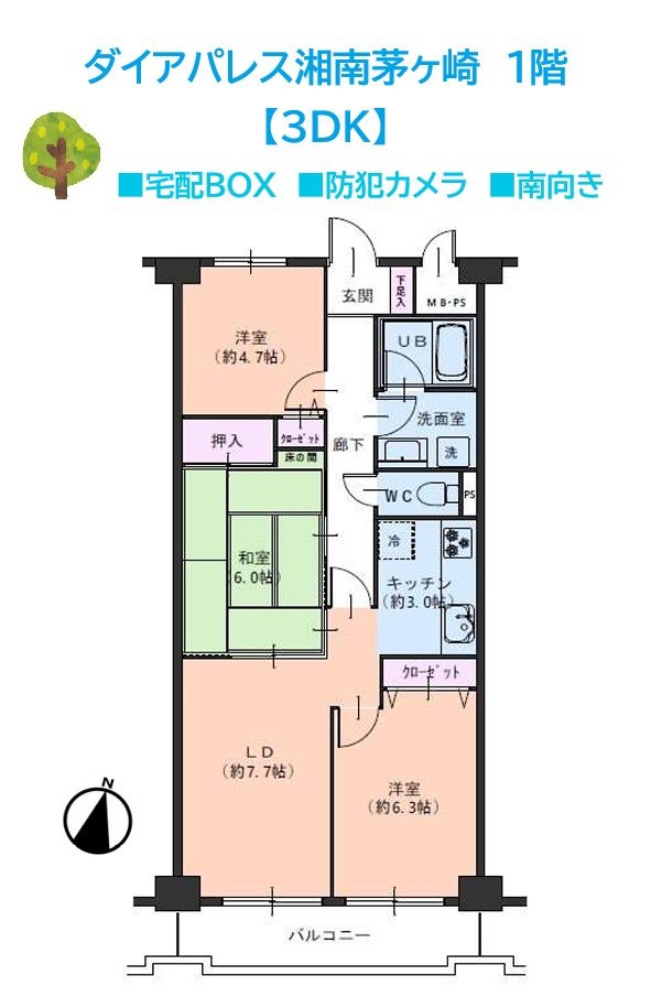 ダイアパレス湘南茅ヶ崎の間取り|階段の上り下りが少なく、生活のしやすい1階部分◎　　　　　　　　　
自然光を取り込みやすい南向き！