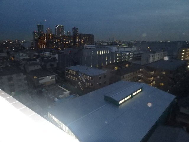ディアレイシャス武蔵中原の展望|他のお部屋の参考写真となります。